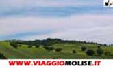 viaggiomolise_it