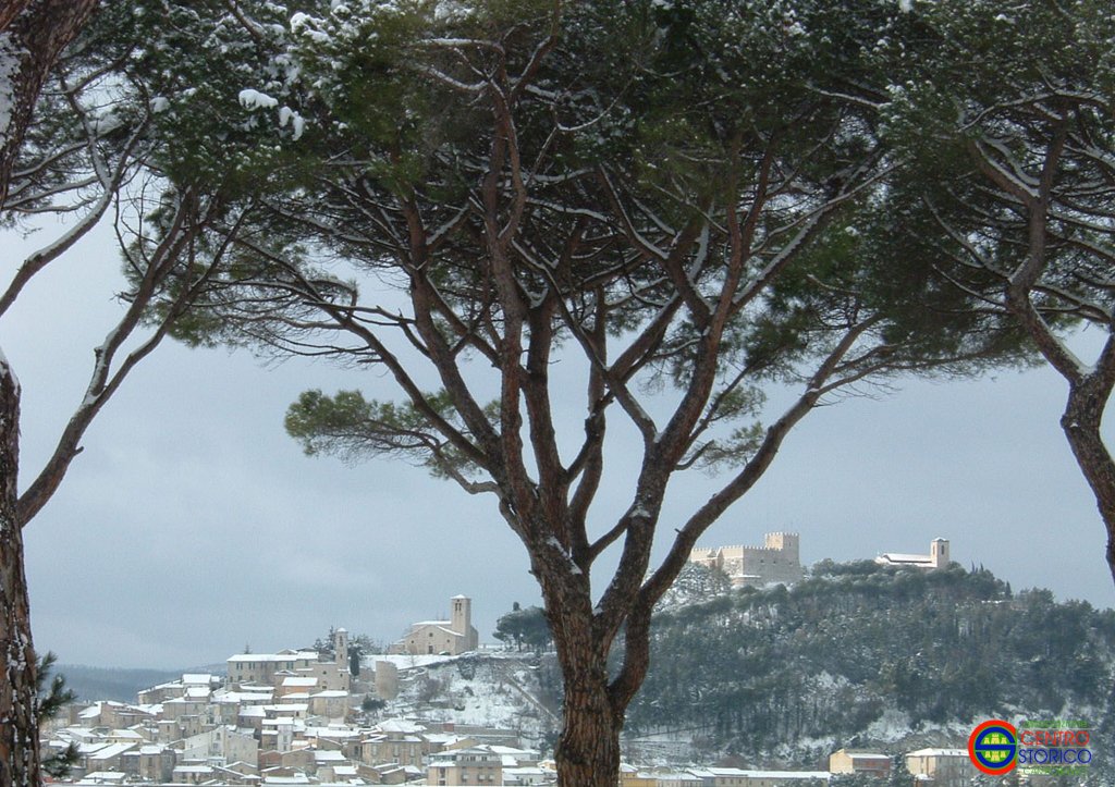 campobasso-tra-gli-alberi